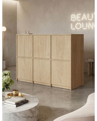 Minimalistische Rezeption für den Beauty-Salon ELFINA – Segmentfront