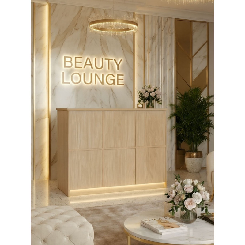 Minimalistische Rezeption für den Beauty-Salon ELFINA – Segmentfront