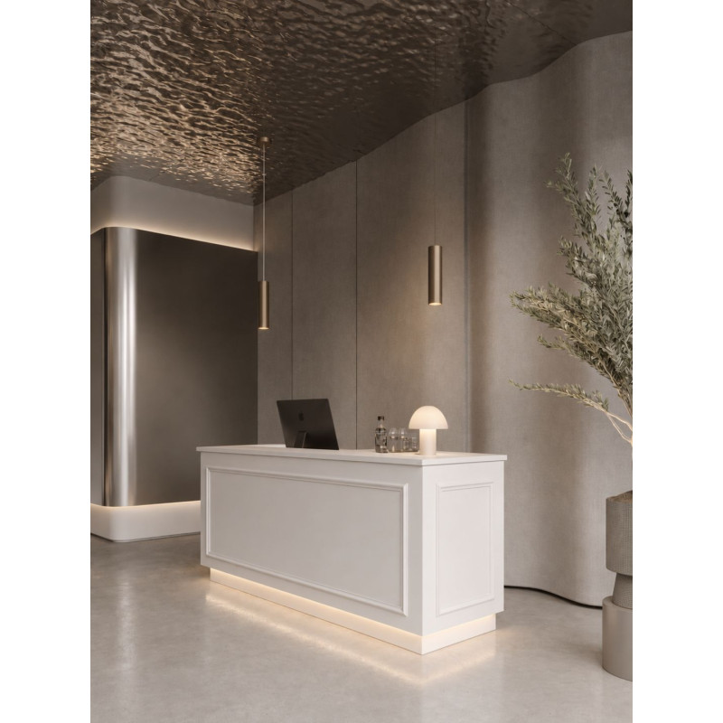 Reception area for an aesthetic medicine clinic featuring stucco work