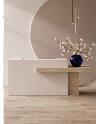 Minimalistyczna recepcja VELA do kliniki medycyny estetycznej Minimalistyczna recepcja VELA do kliniki medycyny estetycznej