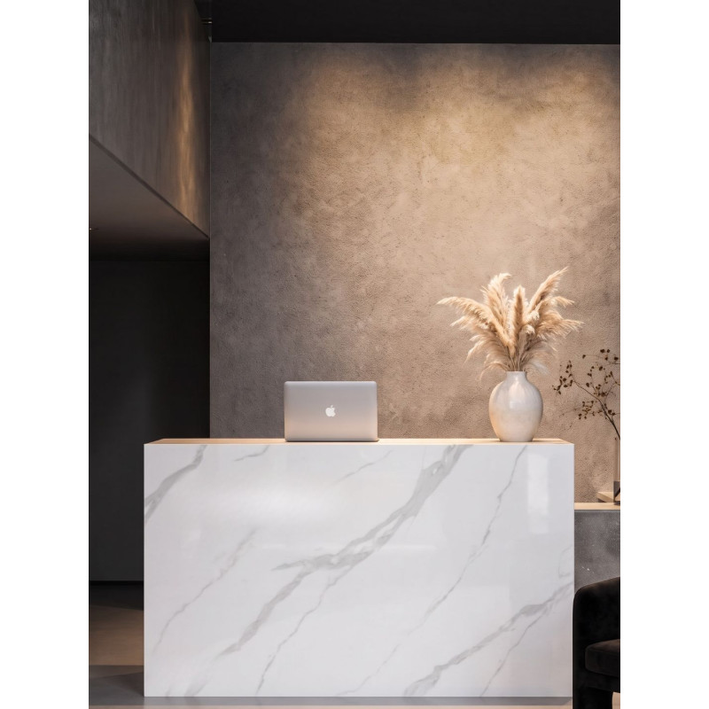 A Modern, Glamorous Reception Area for a Beauty Salon